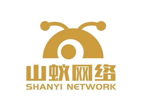 四川山蟻網(wǎng)絡(luò)科技