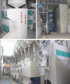 科技賦能，品質(zhì)為本 揭秘大米企業(yè)贏得尊敬與信賴的秘訣