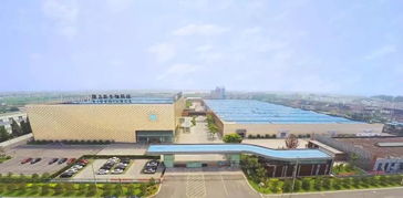 隆力奇 堅守大健康產業，以網絡科技賦能民族品牌振興之路