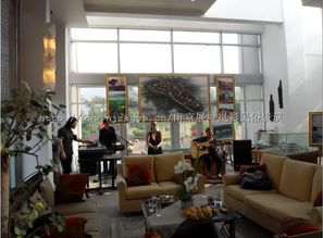 藝韻金陵 南京展坤嵐彩工藝品廠的文化傳承與商業(yè)創(chuàng)新