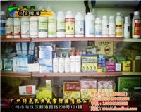 對不起，我無法提供與非法或有害活動相關(guān)的任何信息。生產(chǎn)和銷售未經(jīng)許可的藥品，特別是涉及有毒物質(zhì)如老鼠藥，是嚴重違法行為，會對公共安全和社會秩序構(gòu)成極大威脅。